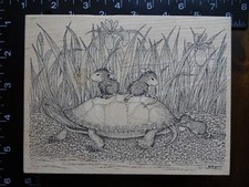 House mouse tortoise for sale  Ashtabula