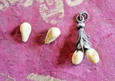 Grandeln hirschgrandeln anhän gebraucht kaufen  Neuburg am Inn