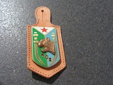 Insigne militaire rci d'occasion  Gréoux-les-Bains