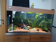Aquarium komplett zubehör gebraucht kaufen  Fürstenfeldbruck