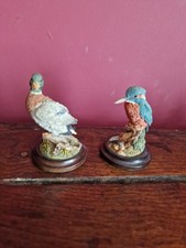 Country artists. mallard for sale  GRAVESEND
