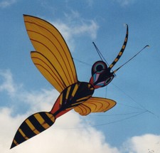 George peters wind gebraucht kaufen  Boll