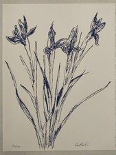 Lithographie iris bernard d'occasion  Mezzavia
