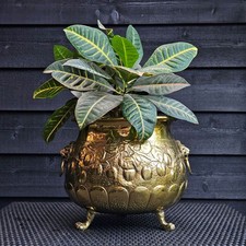 Large brass footed for sale  USA