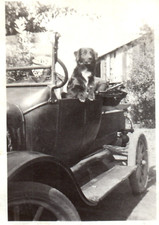 1930s black lap for sale  Cypress