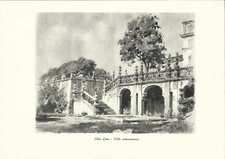 Stampa antica orio usato  Lecco