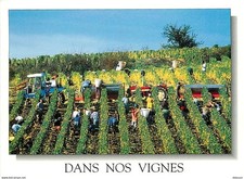 Vines harvest scenes d'occasion  Expédié en Belgium