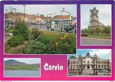 Carvin multivues fleurs d'occasion  Fruges