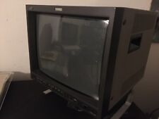 Monitor jvc 1750cg usato  Ospitaletto