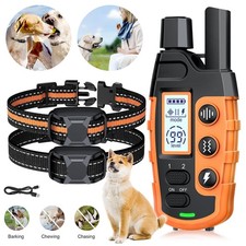 Training hund erziehungshalsba gebraucht kaufen  Aspisheim, Grolsheim