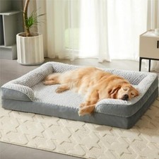 Orthopedic large dog for sale  Miami