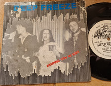 Deep freeze keeping for sale  THIRSK
