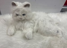 Lulu cuddlin kitty for sale  San Jose