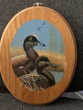 Beautiful duck pictures for sale  Salt Lake City