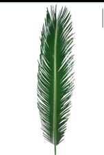 Sago palm leaf for sale  Myrtle Beach