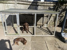 Dog chicken run for sale  BALDOCK