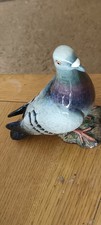 Vintage beswick pidgeon for sale  FORFAR
