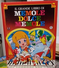 Grande libro memole usato  Italia