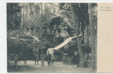 India postcard indian for sale  Elizabeth