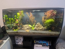 Aquarium fluval flex gebraucht kaufen  Hanau