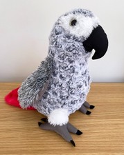 African grey parrot for sale  ROCHESTER