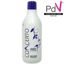 Shampoo concerto collagene usato  Italia