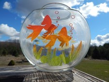 Rare vintage clear for sale  Grand Haven