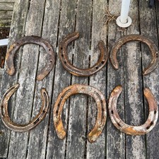 Used lucky horseshoe for sale  WARWICK