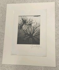 Lucien clergue photographie d'occasion  Louhans
