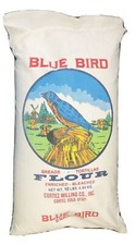 Pound blue bird for sale  Chandler