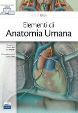 Elementi anatomia umana usato  Roma