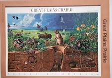 Usa fdc 2001 gebraucht kaufen  Kiel