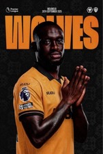 2025 wolves leeds for sale  BRISTOL