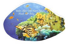 Vietnam meeresleben einsiedler gebraucht kaufen  Köngen