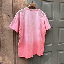 Camiseta Fruit Of The Loom Gradiente Sol Desbotado Rosa Coral Dois Tons Trabalho WIP Tamanho XL comprar usado  Enviando para Brazil