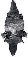 Genuinamerican alligator hide for sale  Athens