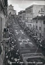Ar563 cartolina genzano usato  Tramonti