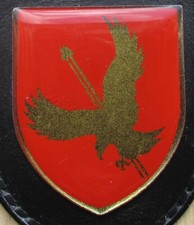 Brustanhänger verbandsabzeich gebraucht kaufen  Soderstorf