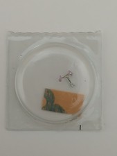 Rolex 1530 1570 usato  Spilimbergo