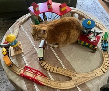 Mixed wooden train for sale  Indianapolis