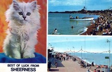 Usado, Cartão postal BEST OF LUCK FROM SHEERNESS NIE fotografia aquática céu gato azul AA10929 comprar usado  Enviando para Brazil