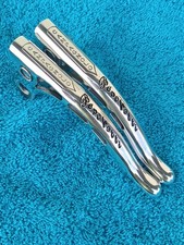 Boschetti campagnolo record usato  Formigine