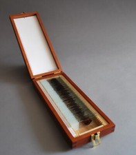 Dexter trophy slide for sale  Nashville