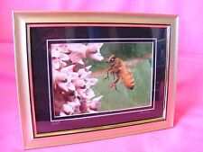 Signed framed print for sale  Jonesport