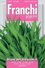 Franchi seeds scuplit for sale  SAFFRON WALDEN