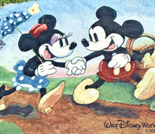 Vintage disney throw for sale  Fleming Island