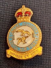 Fighter squadron raf for sale  GRIMSBY