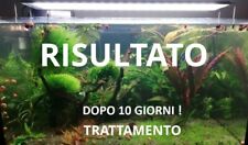 Anti alga acquario usato  Italia