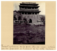 China boxer peking d'occasion  Pagny-sur-Moselle