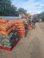 Daffodil bulbs 20kg for sale  NARBERTH